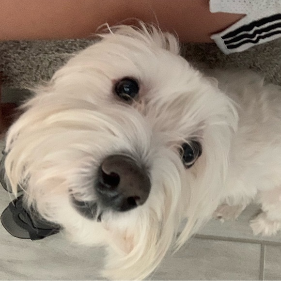 Meet your Posher, Alenka - Picture 2 of 3